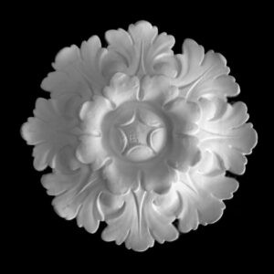 0116820-Rosone